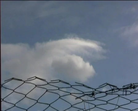 Fence  Video stock 602405