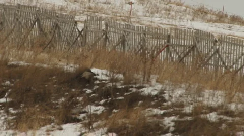 The Fence Stock Footage 1045260