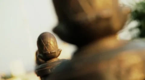 Fence Vidéo 8519260