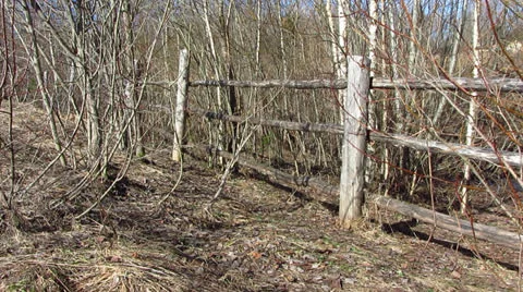 Fence Vídeo Stock 22798721