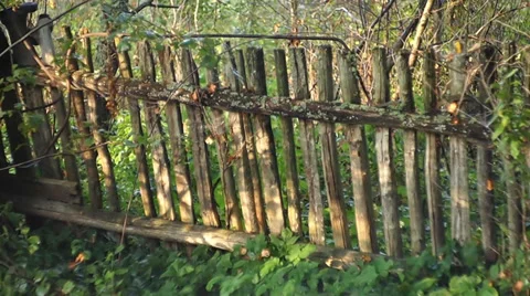 Fence Stock-Footage 29527015