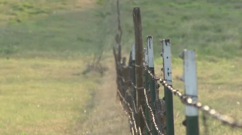 Fence Stock Footage 36579706