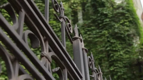 The fence Stock Footage 81618829