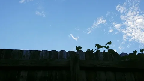 Fence Stock Footage 94597722