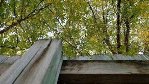 The fence Stock Footage 96673863