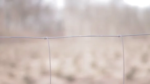 Fence 스톡 동영상 135758296