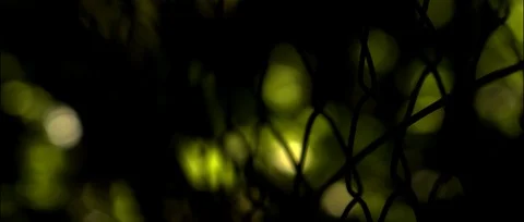 Fence forest Stock Footage 91734369
