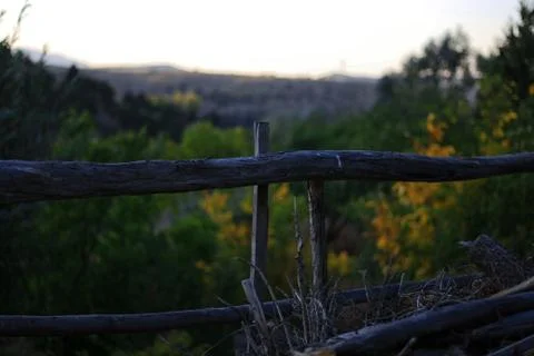 Fence in the forest Stock Photos