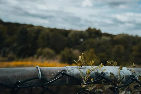 Fence in front of mountain view Stock Photos