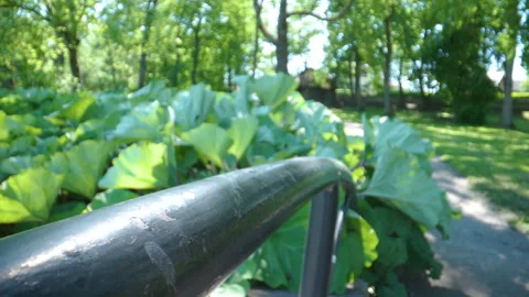 The fence of the garden in the park Stock Footage 136562645