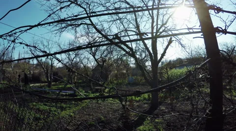 Fence garden plot Stock-Footage 49525844