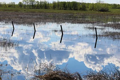 A fence going through a pond with the sky reflected in it Stock Photos