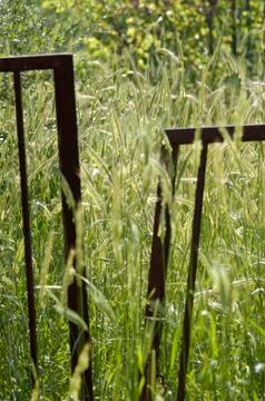Fence in grainfield Stock Photos