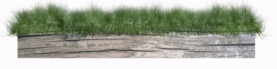 On a fence grass Stock Illustration