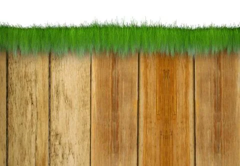 On a fence grass Stock Illustration
