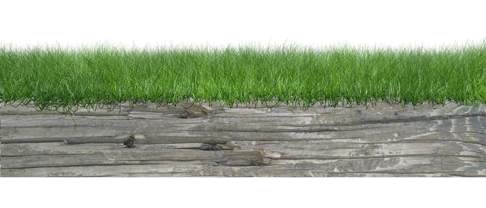 On a fence grass Stock Illustration