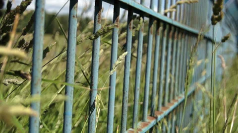 Fence in the grass slip 库存影片 39840579