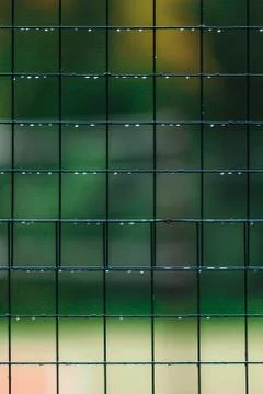 Fence from the grid close-up with drops after rain. Stock Photos