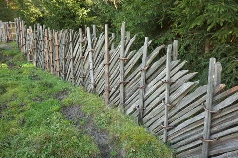 Fence inside a typical forest of the Italian Alps Stock Photos