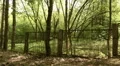 Fence of the kids abandoned camping. Smooth and slow steady cam shot. 4k or 4k+ Resolution
