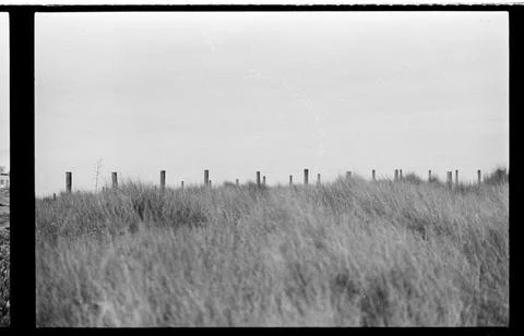 Fence Line Across Soft Windblown Dune Grass Stock Photos