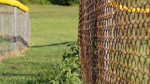 Fence line 動画素材 8517042