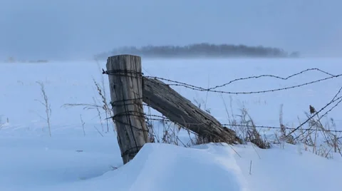 FENCE LINE Stock Footage 35578026