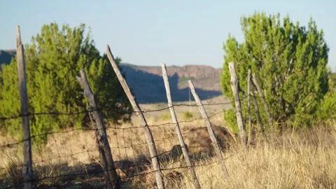 Fence line on a rural ranch Stock Footage 290022687