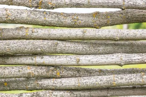 Fence of logs Stock Photos