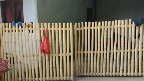 Fence made of bamboo Stock Footage 219196378