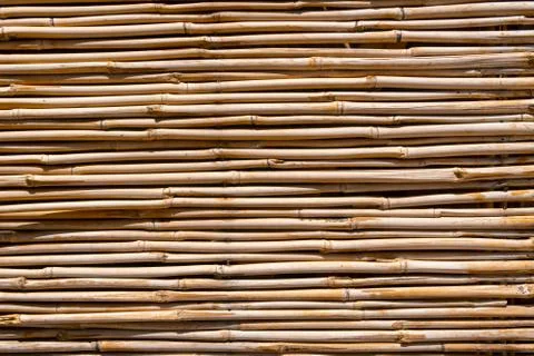 Fence made of bamboo trunks Stock Photos