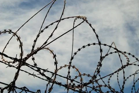 Fence made of barbed wire Stock Photos