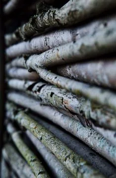 Fence made of birch trunks Stock Photos