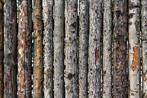 Fence made of logs with bark as background Stock-Fotos