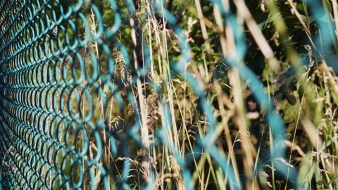 A fence made of metal mesh on the background of nature in a blur 库存影片 215030028
