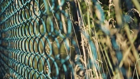A fence made of metal mesh on the background of nature in a blur. View in rural Stock Footage 221695142