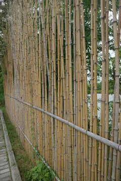 Fence made of parallel bamboo arrangement Stockfoto's