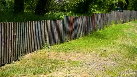 A fence made of planks Stock Footage 254338341