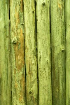 The fence is made of round vertical pine logs, rich green color. Background Stock Photos