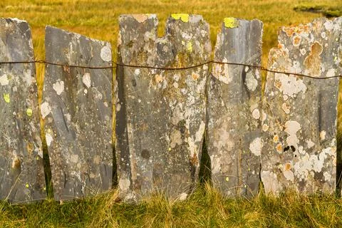 Fence made from slate slabs Stock Photos