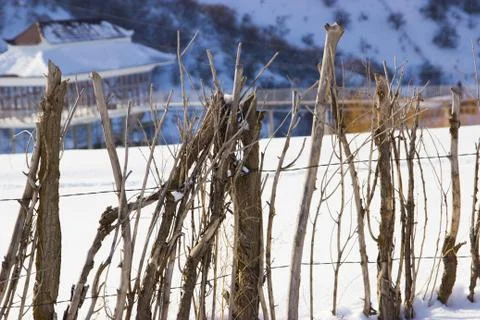 A fence made of tree branches Stock Photos