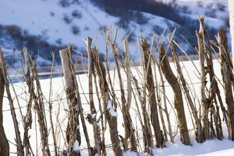 A fence made of tree branches Foto stock