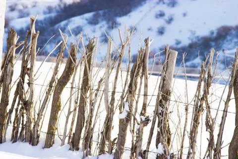 A fence made of tree branches Foto stock