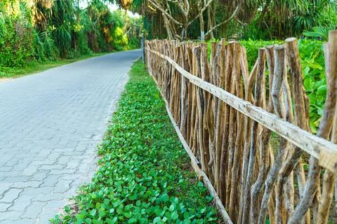 A fence made of tree branches Stock Photos