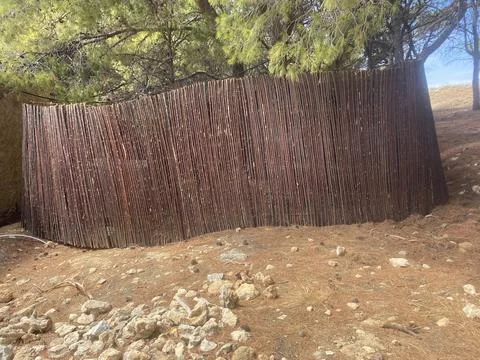 Fence made of vectors of trees in the forest. Horizontal picture  Stock Photos