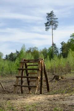 Fence made of wire and rustic ladder made of wooden logs Stock Photos