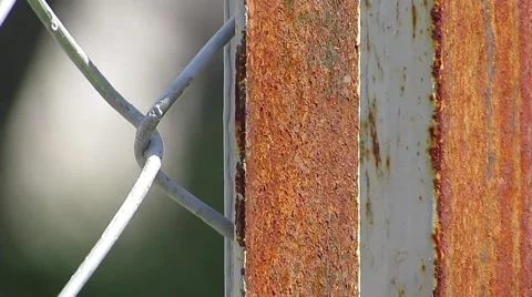 Fence mesh and rust Stock Footage 62202138