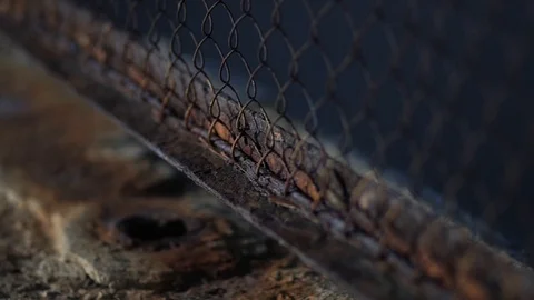 The fence mesh is covered with rust. Corrosion of metal. Stock Footage 99621942