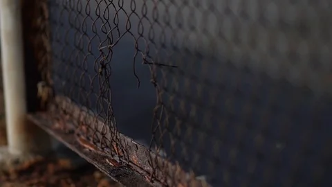 The fence mesh is covered with rust. Corrosion of metal. Stock Footage 99660737