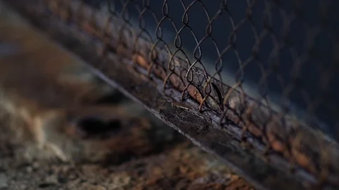 The fence mesh is covered with rust. Corrosion of metal. Stock Footage 99749269